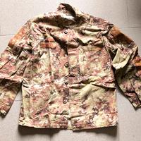 Mimetica vegetata SBB