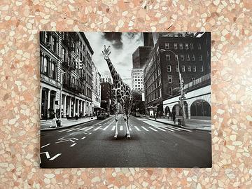 Quadro tela stampa poster