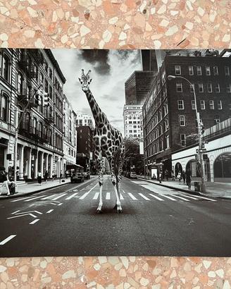 Quadro tela stampa poster