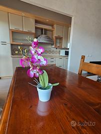 Casa vacanze week ostia