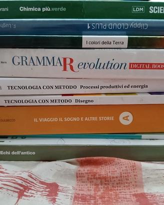 libri scolastici 