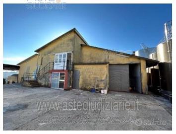 Azienda Agricola Poggio San Marcello [A4340673]