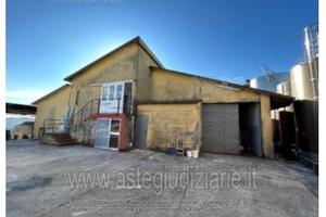 Azienda Agricola Poggio San Marcello [A4340673]