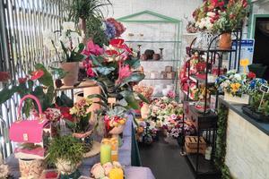 Negozio di Fiori avviato