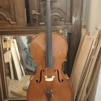 Violoncello