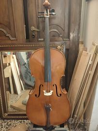 Violoncello