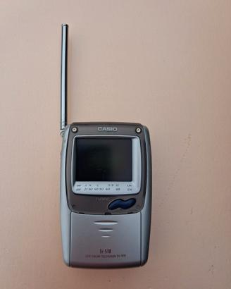 Tv portatile