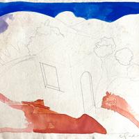 Luca alinari tecnica mista