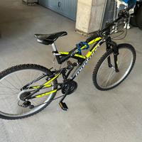 Bici mountain bike