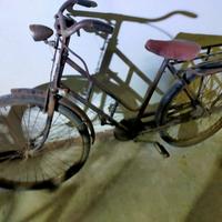 bicicletta Doniselli