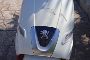 Peugeot Django usato