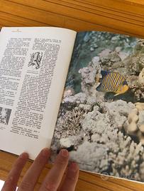 Grande Enciclopedia Universale European Book 1974