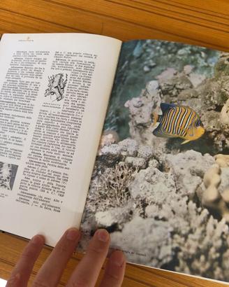 Grande Enciclopedia Universale European Book 1974