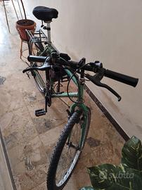 Bicicletta Vicini 