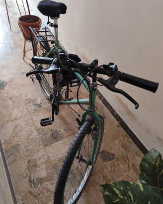 Bicicletta Vicini 