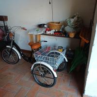 Triciclo per adulti