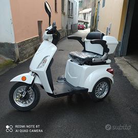 Scooter elettrico per disabili