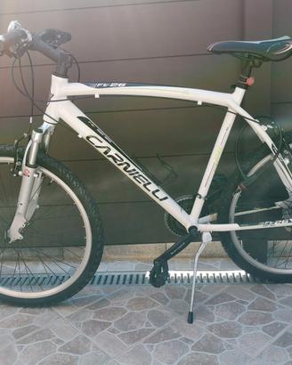 Mountain bike 26'