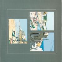 Cartellina grigia Litografie Aldo Riso 23x17