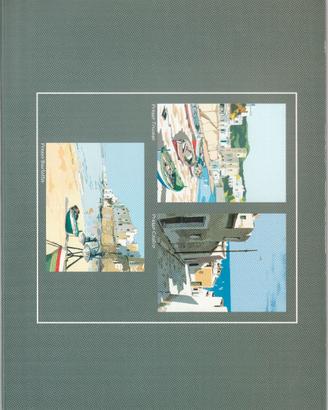 Cartellina grigia Litografie Aldo Riso 23x17