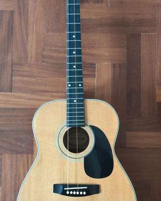 chitarre acustiche