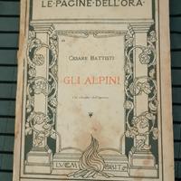 gli Alpini 