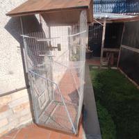 Gabbia per uccelli