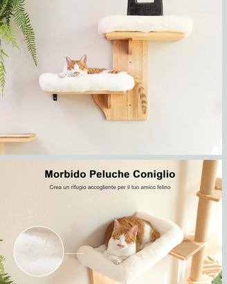 GATTI MENSOLE  MURO  GATTI RIPIANI ACCESSORI