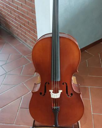 Violoncello 4/4 da studio e porta violoncello  