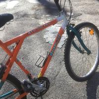 Mtb funzionante 26 bianchi
