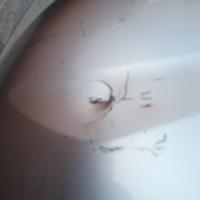 copriruota posteriore 