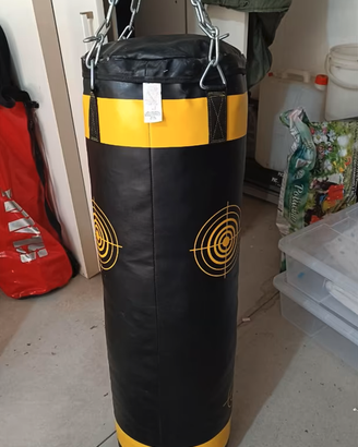 Sacco da Box