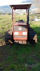 Trattore Cingolato Fiat 60-75