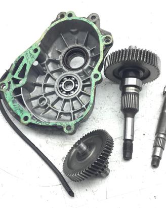 PIAGGIO BEVERLY 125 CARTER E INGRANAGGI RUOTA POST