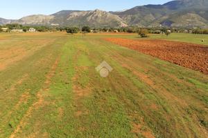 TER. AGRICOLO A CASTROCIELO