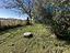 Immagine 26