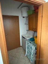 Luminoso bivano arredato