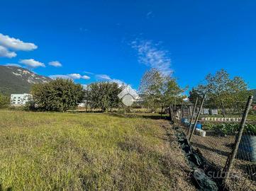 TER. AGRICOLO A LIMENA