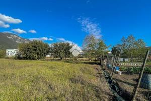 TER. AGRICOLO A LIMENA