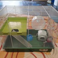 gabbietta per roditori