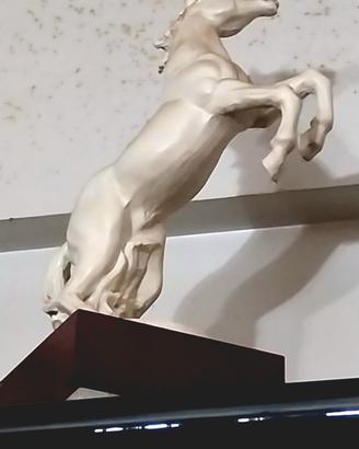 Statue cavalli 