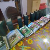 Collezione riviste Diana Caccia