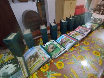 Collezione riviste Diana Caccia