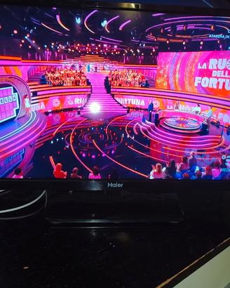 TV Haier le24B8000T