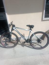 bicicletta cannondale
