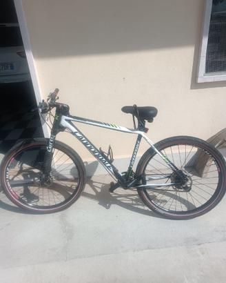 bicicletta cannondale