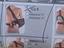 Immagine 2