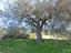 Immagine 12