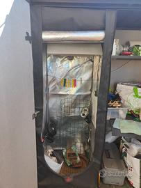 Growbox 60x60x150 completo e funzionante