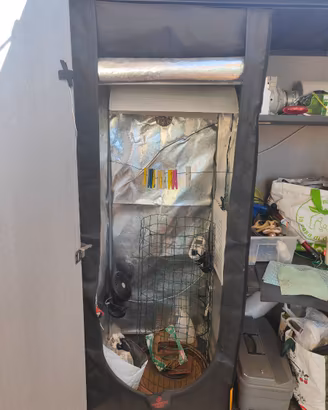 Growbox 60x60x150 completo e funzionante